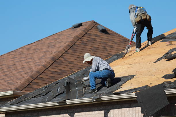 Trusted Blue Springs, MO Roofing service Experts